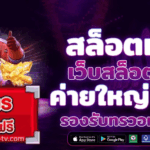 สูตรสล็อต การทำเงินจริง ปั่นสล็อตอย่างไรให้ “แตก” และทำกำไรได้อย่างยั่งยืน